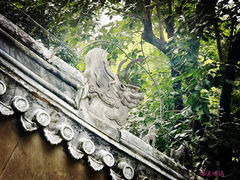 -潭柘寺景区