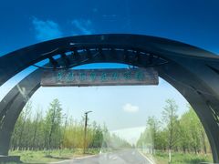 -黄海国家森林公园