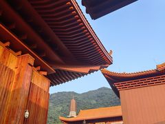 -深圳仙湖植物园