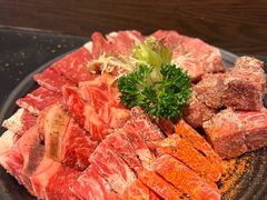 -熊出没日本烧肉放题