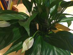 -猫的天空之城概念书店(杭州南宋御街店)