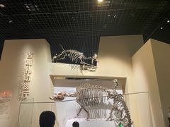 -国家自然博物馆