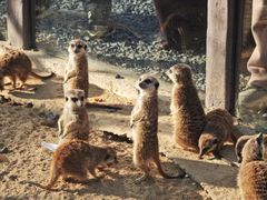 -茅山东方盐湖城景区