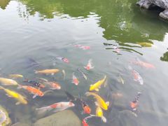 -扬州瘦西湖温泉