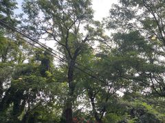 -丽泽山庄·生态怀柔菜·虹鳟鱼(红螺寺店)