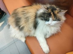 -陈记农家挂炉烤肉(雁南一路店)