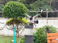 -九龙公园