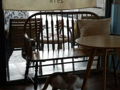 -251#coffee roasters(沿河东路店)