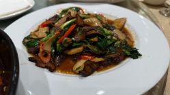 -新城花园酒店·宴会厅