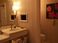 -拉斯维加斯永利酒店