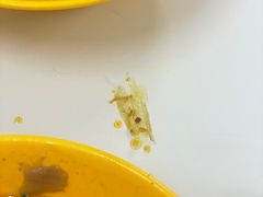 -金利食店(氹仔店)