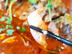 -新珠城鱼坊(龙湖店)