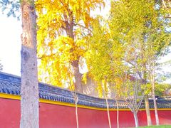 -宝光寺