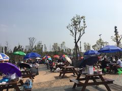 -枫香湖儿童公园