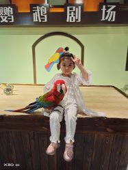 点击看大图 -未来动物城动物主题公园(大悦城店)