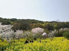 -苏州上方山国家森林公园