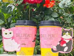 -重庆市奥林匹克体育中心-游泳跳水馆