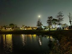 -春花秋色城市公园