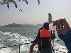 -海驴岛(荣成市)