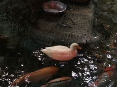-北京海洋馆