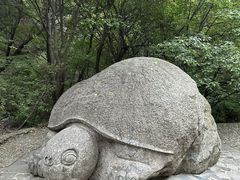 -红崖峡谷景区