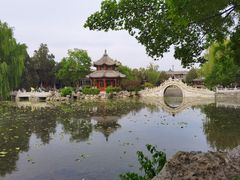 -莲池书院博物馆