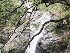 -东天目山风景区