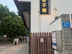 -枣子树·素食餐厅(普陀山店)