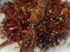 -亿牌牌东北烧烤(怀特店)