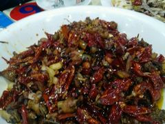 -马黑哥椒麻鸡(清江山水店)