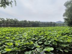 -承德避暑山庄景区