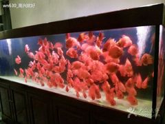 android_upload_pic-泉味道贵州厨房(三里河店)