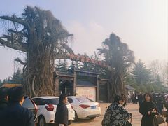 -黄河富景生态世界