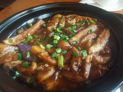 -旺金鸽(穗盐路总店)