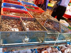 -芦潮港集贸市场