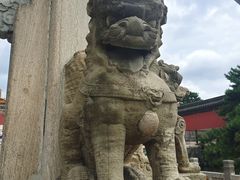 -北陵公园