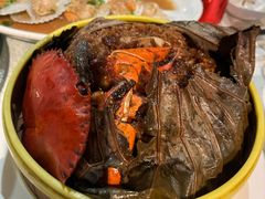 -金美华轩(东方路齐鲁店)