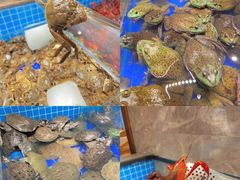 -黑金·寻焰自助百汇·烤肉·火锅(中街店)