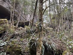 -梭布垭石林景区