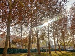 -Mesa Madre梅萨妈妈·Bintana(国贸店)