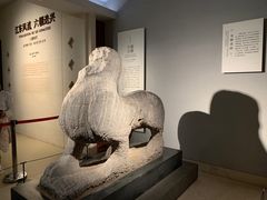 -南京博物院