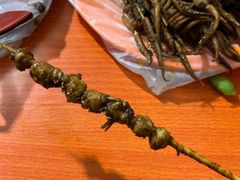 鱿鱼嘴-十里铺铁板鱿鱼