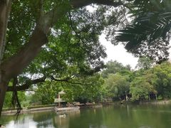 -晓港公园