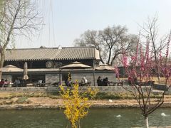 -春风习习
