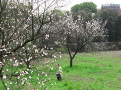 -苏州上方山国家森林公园