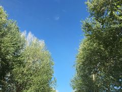 -海子诗歌陈列馆