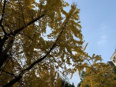 -四川大学(望江校区)