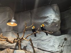 -Zoolung Zoolung动物主题公园(海信广场店)