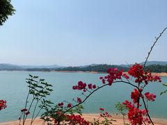 -广州市流溪河国家森林公园