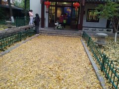 -郑和公园